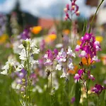 Muehlengrund Vendégház