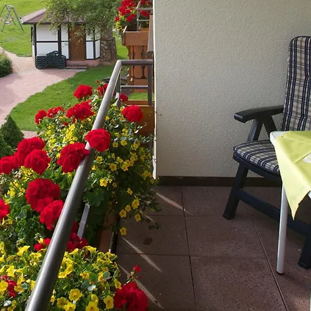 Apart-hotel Muehlengrund