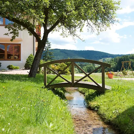 Muehlengrund 4* Baiersbronn