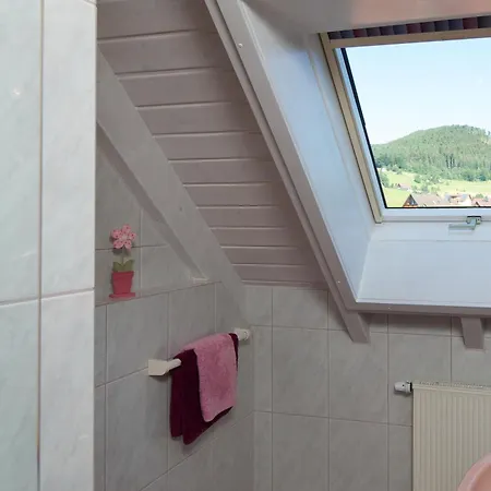 Muehlengrund Aparthotel Baiersbronn