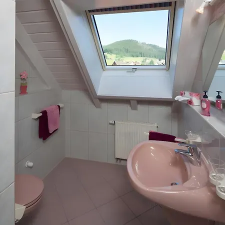 Muehlengrund Baiersbronn