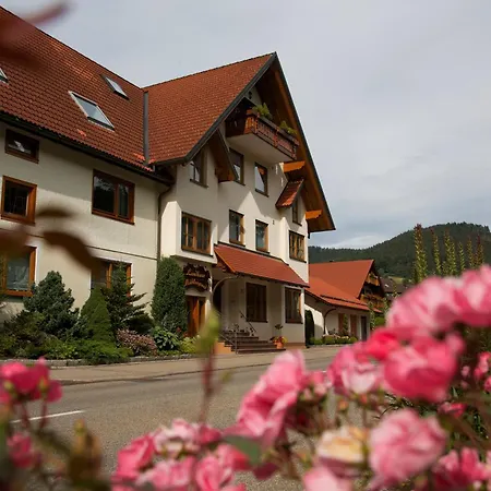 Muehlengrund Apart-hotel
