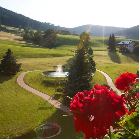 Aparthotel Muehlengrund 4*