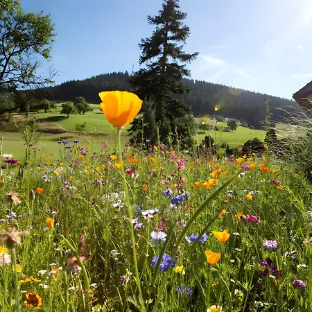 Muehlengrund Aparthotel