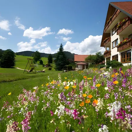 Muehlengrund Aparthotel Baiersbronn